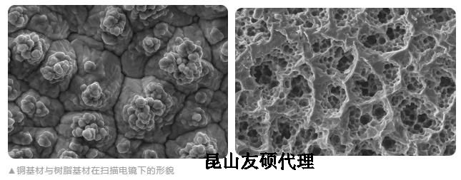 海口蔡司海口扫描电镜