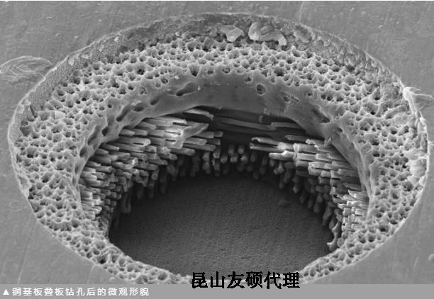 海口蔡司海口扫描电镜